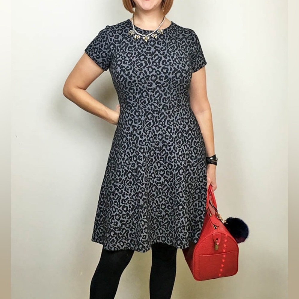 LOFT | Gray Animal Print Knit Fit & Flare Dress Sz 6